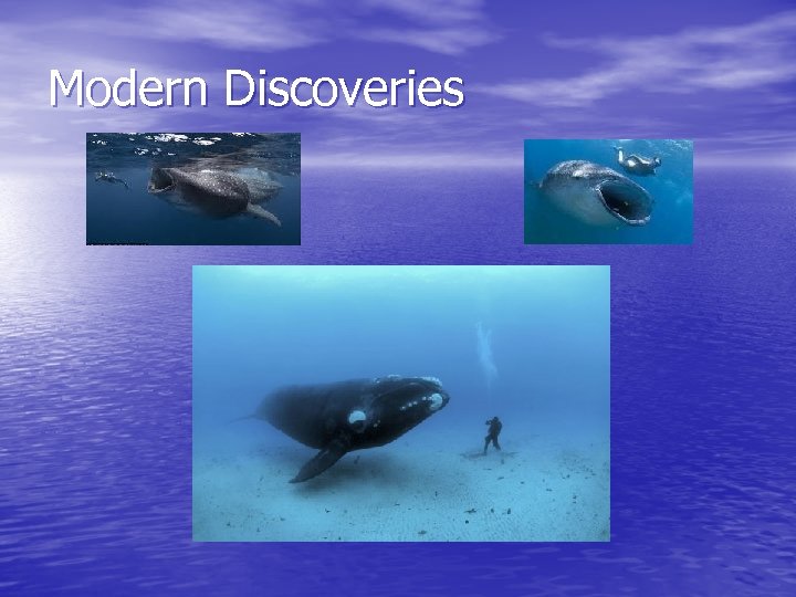 Modern Discoveries 