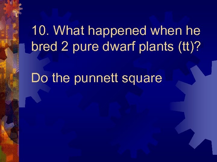 10. What happened when he bred 2 pure dwarf plants (tt)? Do the punnett