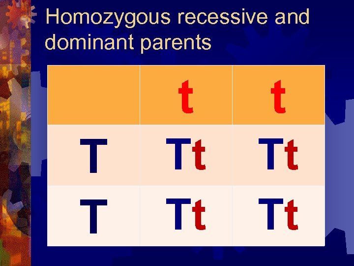 Homozygous recessive and dominant parents t T T t Tt Tt 