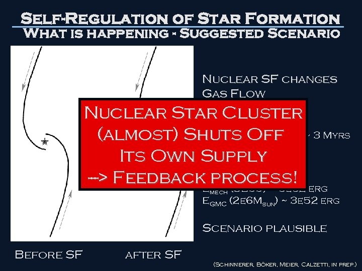 Self-Regulation of Star Formation What is happening - Suggested Scenario Nuclear SF changes Gas