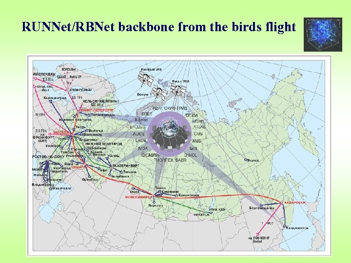 RUNNet/RBNet backbone from the birds flight 