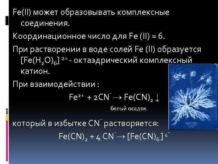 Fe(II) может образовывать комплексные соединения. Координационное число для Fe (II) = 6. При растворении