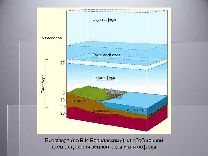 Биосфера (по В. И. Вернадскому) на обобщенной схеме строения земной коры и атмосферы 