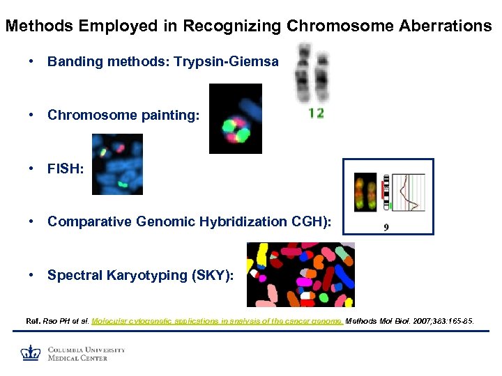 Methods Employed in Recognizing Chromosome Aberrations • Banding methods: Trypsin-Giemsa • Chromosome painting: •