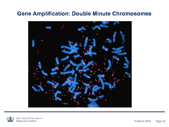 Gene Amplification: Double Minute Chromosomes 15 March 2018 Page 52 