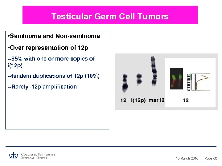 Testicular Germ Cell Tumors • Seminoma and Non-seminoma • Over representation of 12 p