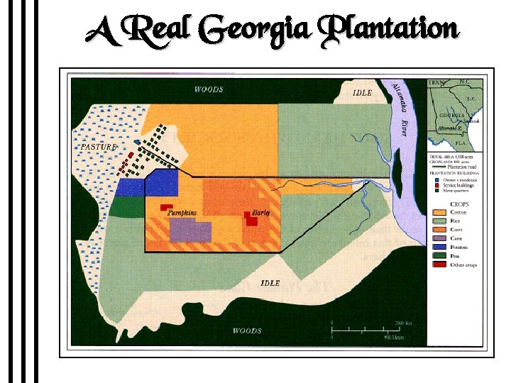 A Real Georgia Plantation 