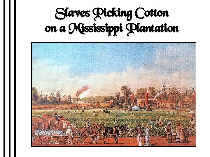 Slaves Picking Cotton on a Mississippi Plantation 