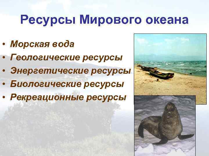 Ресурсы Мирового океана • • • Морская вода Геологические ресурсы Энергетические ресурсы Биологические ресурсы