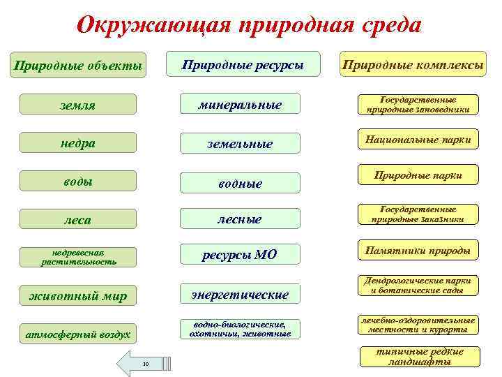 Виды природных сред