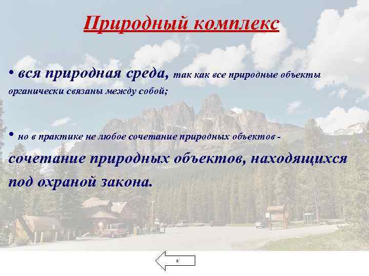 Природный комплекс • вся природная среда, так как все природные объекты органически связаны между