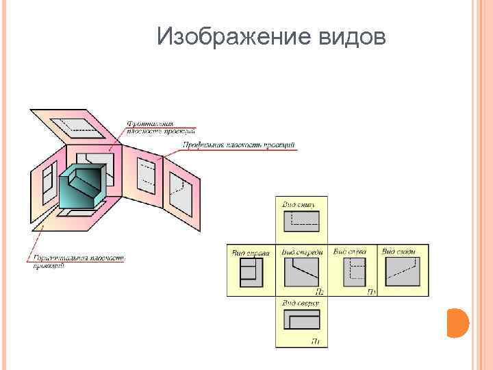 Изображение видов 