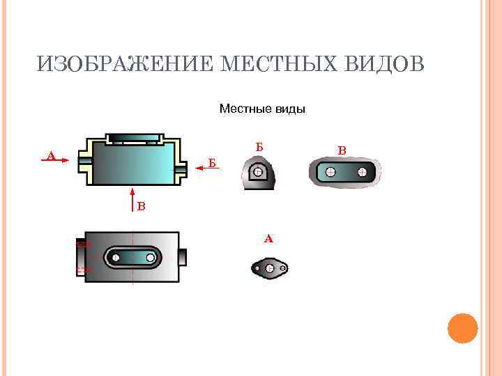 ИЗОБРАЖЕНИЕ МЕСТНЫХ ВИДОВ Местные виды Б А В Б В А 