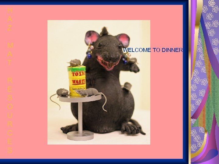 H A Z M A T R E S O U R C E