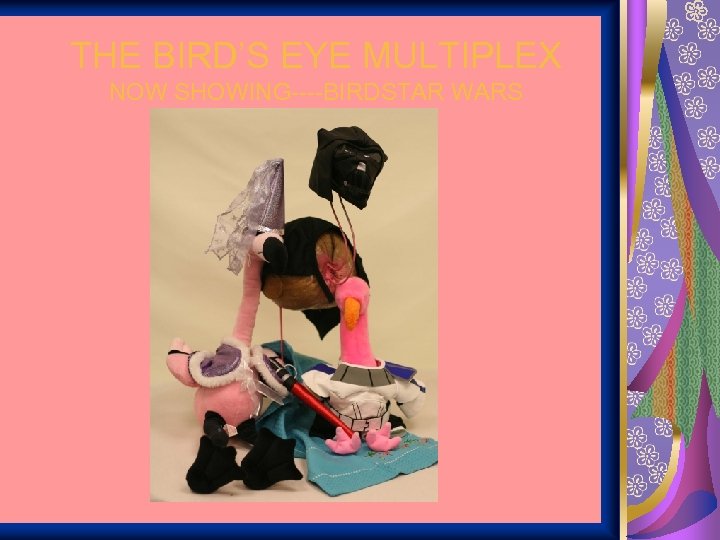 THE BIRD’S EYE MULTIPLEX NOW SHOWING----BIRDSTAR WARS 