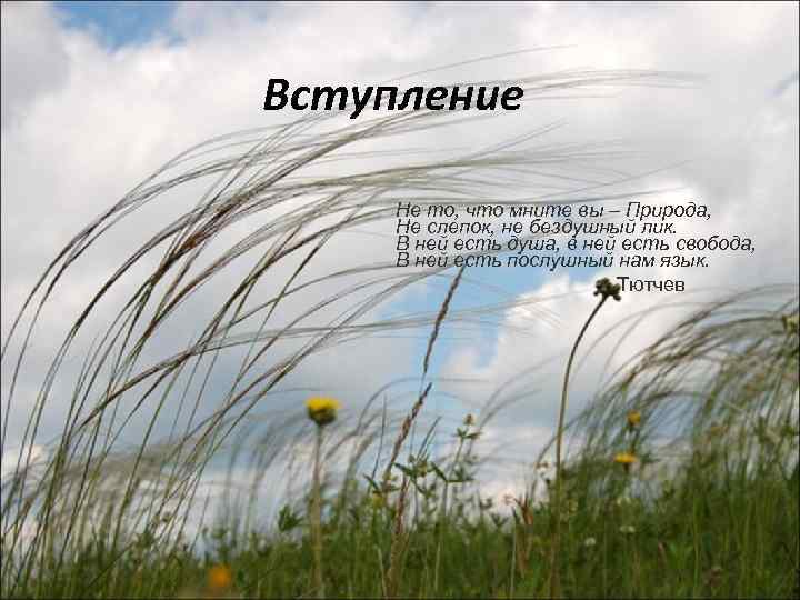 Вступление Не то, что мните вы – Природа, Не слепок, не бездушный лик. В