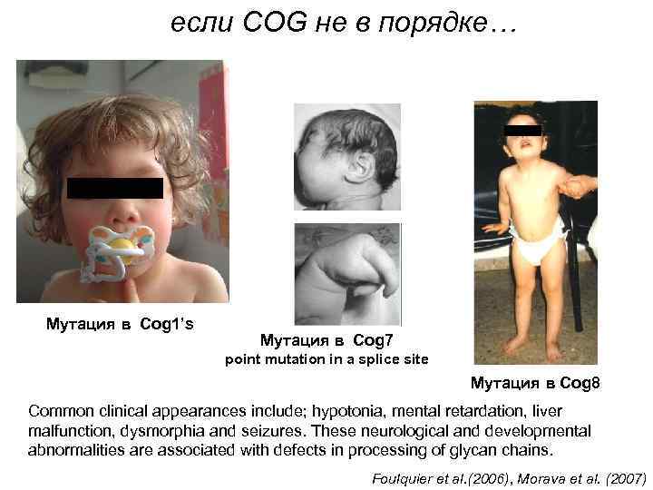 если COG не в порядке… Мутация в Cog 1’s Мутация в Cog 7 point