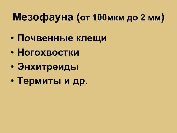 Мезофауна (от 100 мкм до 2 мм) • • Почвенные клещи Ногохвостки Энхитреиды Термиты