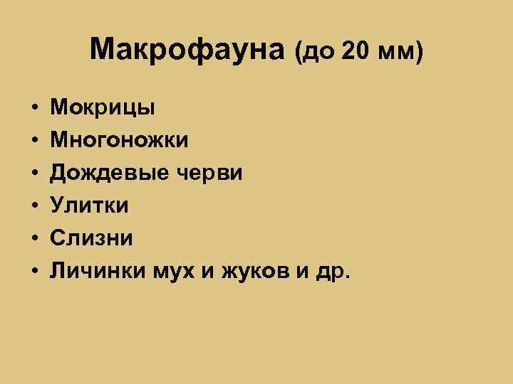 Макрофауна (до 20 мм) • • • Мокрицы Многоножки Дождевые черви Улитки Слизни Личинки