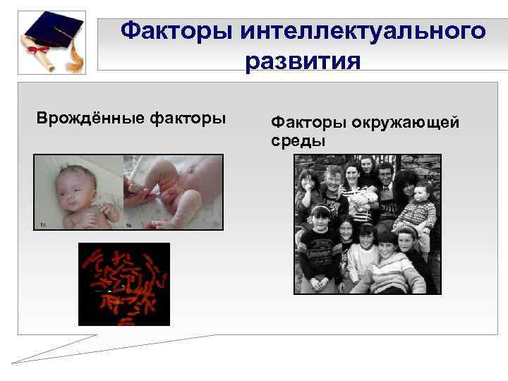 Факторы интеллектуального развития Врождённые факторы Факторы окружающей среды 