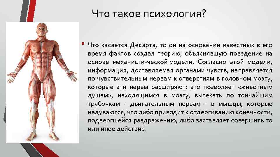 Что такое психология? • Что касается Декарта, то он на основании известных в его