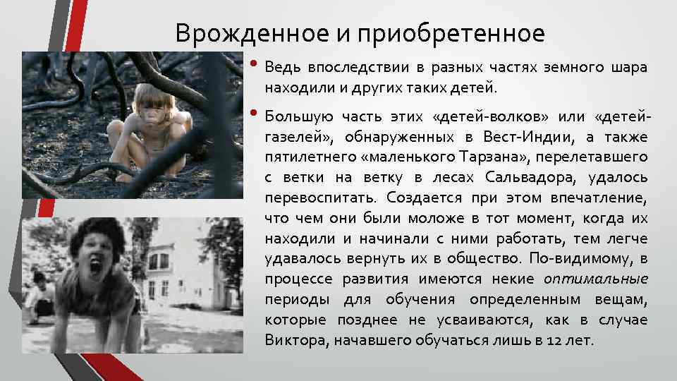 Врожденное и приобретенное • Ведь впоследствии в разных частях земного шара находили и других