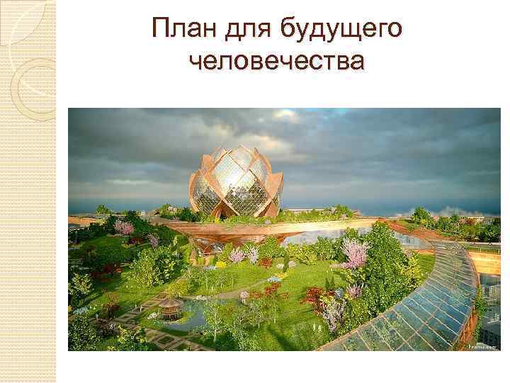План для будущего человечества 