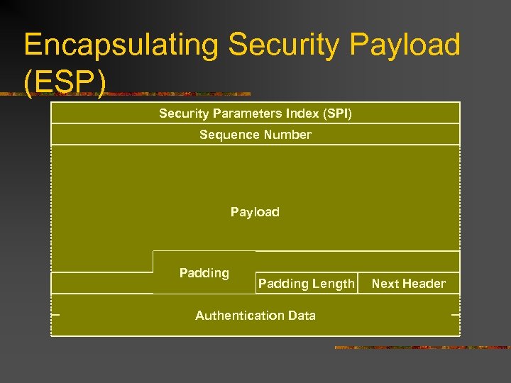 Encapsulating Security Payload (ESP) Security Parameters Index (SPI) Sequence Number Payload Padding Length Authentication