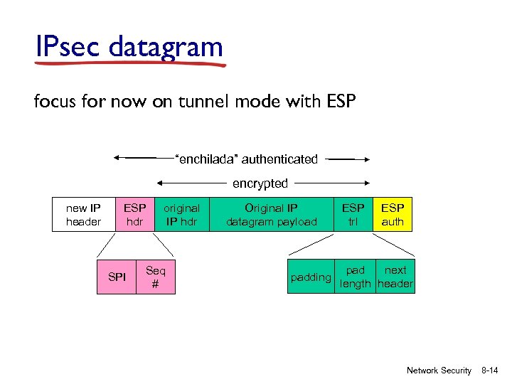 IPsec datagram focus for now on tunnel mode with ESP “enchilada” authenticated encrypted new