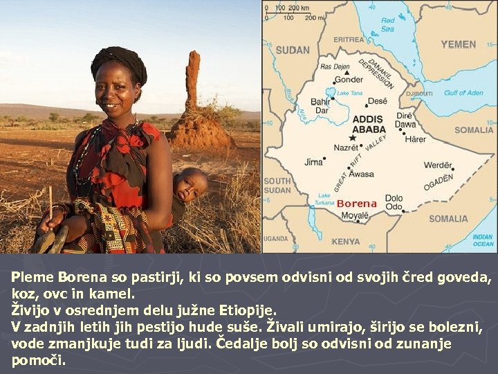 Pleme Borena so pastirji, ki so povsem odvisni od svojih čred goveda, koz, ovc