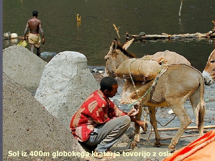 Sol iz 400 m globokega kraterja tovorijo z osli. 