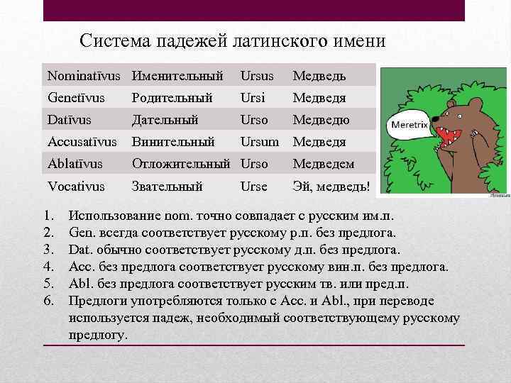 Перевод по фото латинский