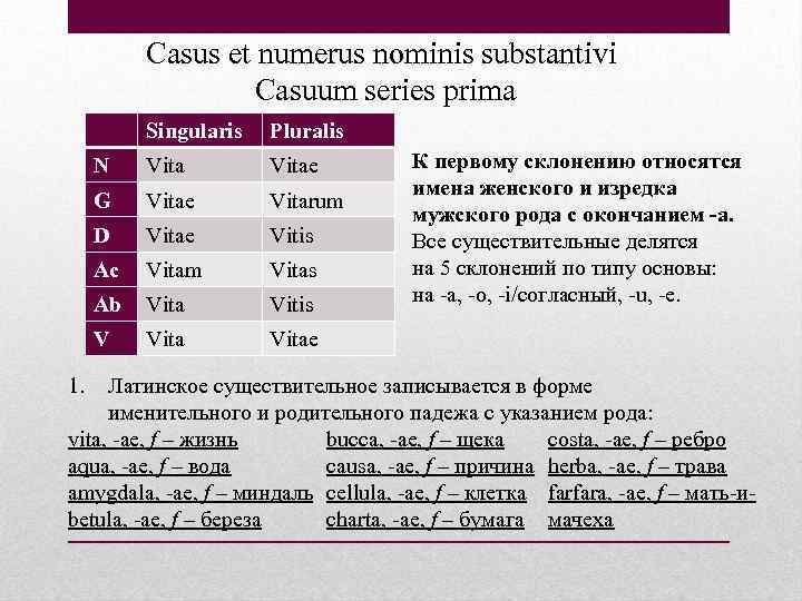 Casus et numerus nominis substantivi Casuum series prima Singularis N Vitae G Vitae Vitarum