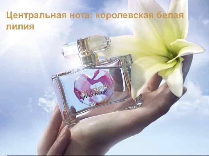 Центральная нота: королевская белая лилия 18 