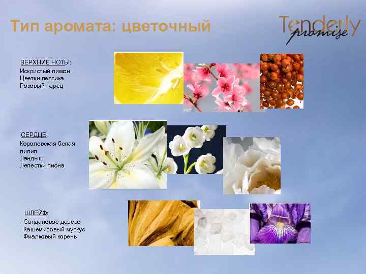 Тип аромата: цветочный ВЕРХНИЕ НОТЫ: Искристый лимон Цветки персика Розовый перец СЕРДЦЕ: Королевская белая