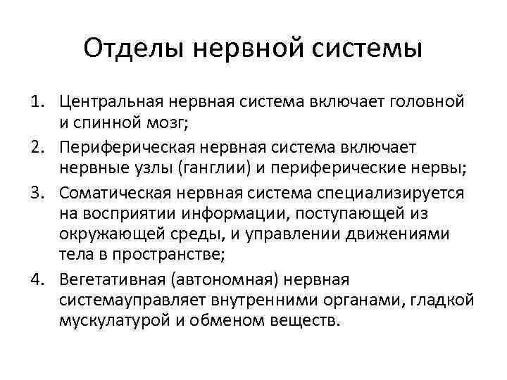 Отделы нервной системы 1. Центральная нервная система включает головной и спинной мозг; 2. Периферическая