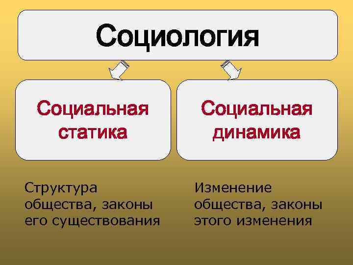 Социальная динамичность