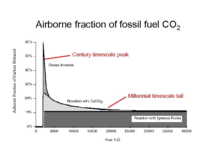 Airborne Fraction of Carbon Released Airborne fraction of fossil fuel CO 2 Century timescale