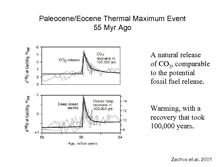 Paleocene/Eocene Thermal Maximum Event 55 Myr Ago A natural release of CO 2, comparable