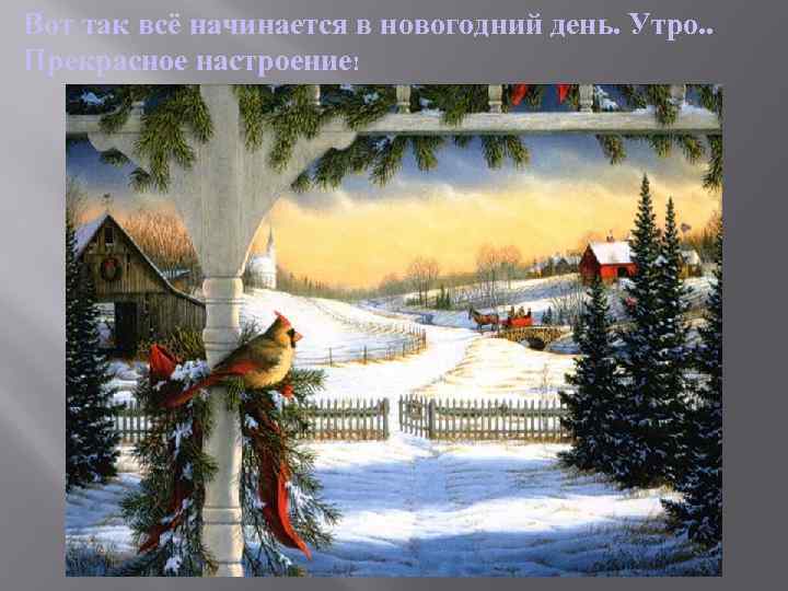 Вот так всё начинается в новогодний день. Утро. . Прекрасное настроение! 