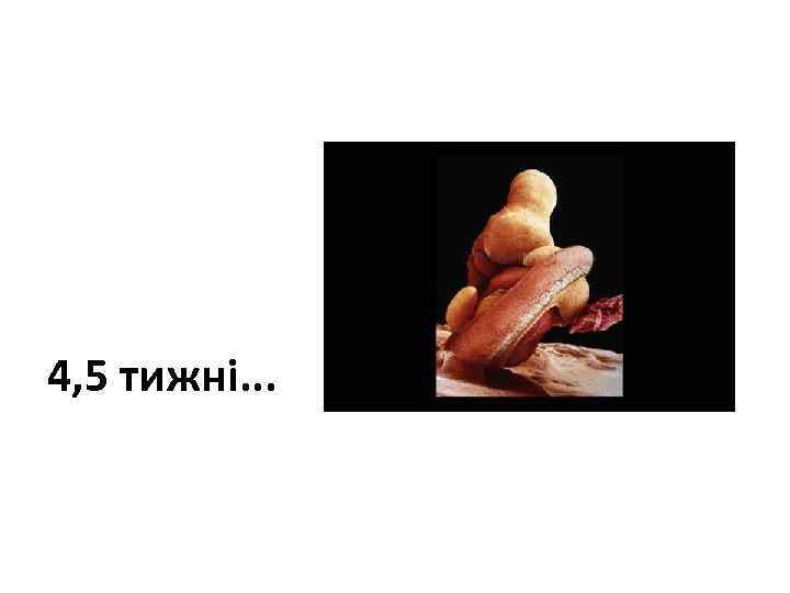 4, 5 тижні. . . 