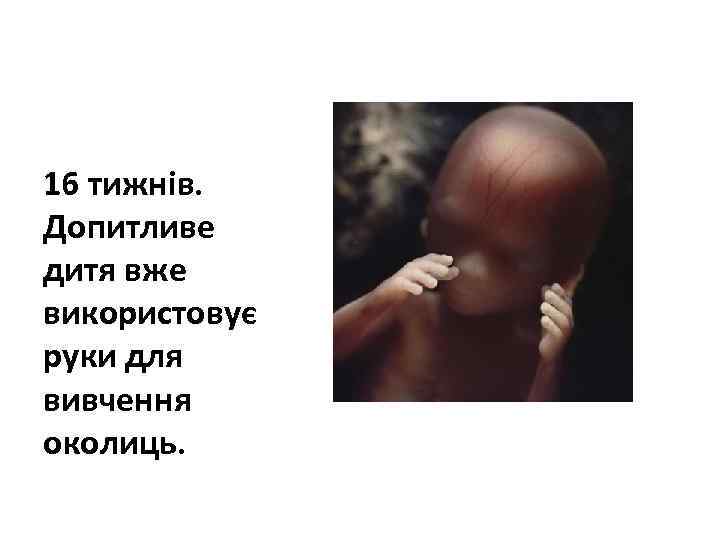 16 тижнів. Допитливе дитя вже використовує руки для вивчення околиць. 