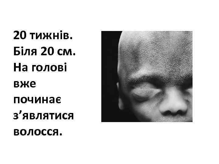 20 тижнів. Біля 20 см. На голові вже починає з’являтися волосся. 