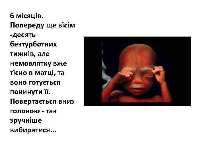 6 місяців. Попереду ще вісім -десять безтурботних тижнів, але немовлятку вже тісно в матці,