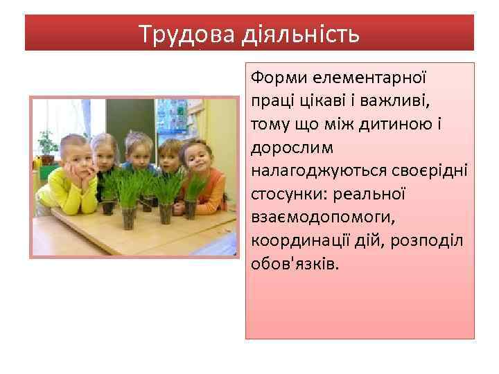 Трудова діяльність Форми елементарної праці цікаві і важливі, тому що між дитиною і дорослим