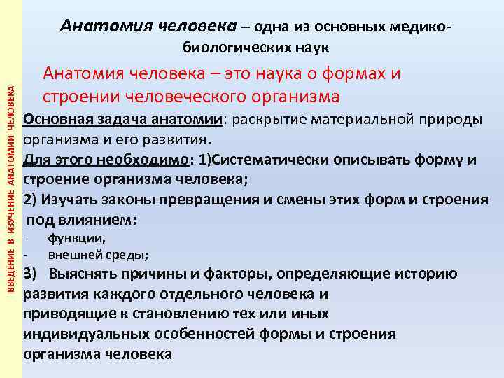 Анатомия человека – одна из основных медико. ВВЕДЕНИЕ В ИЗУЧЕНИЕ АНАТОМИИ ЧЕЛОВЕКА биологических наук