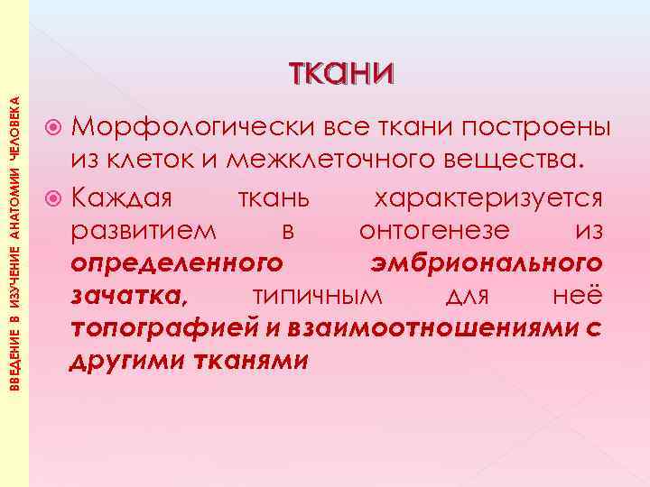 ВВЕДЕНИЕ В ИЗУЧЕНИЕ АНАТОМИИ ЧЕЛОВЕКА ткани Морфологически все ткани построены из клеток и межклеточного