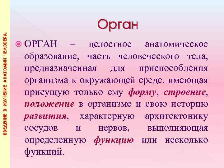 ВВЕДЕНИЕ В ИЗУЧЕНИЕ АНАТОМИИ ЧЕЛОВЕКА Орган ОРГАН – целостное анатомическое образование, часть человеческого тела,