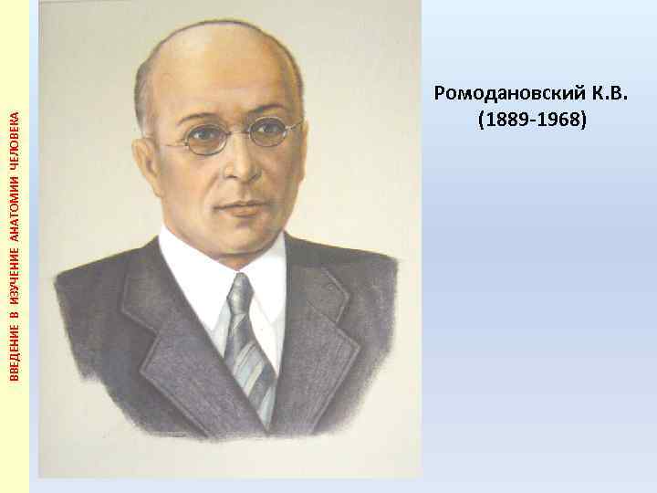 ВВЕДЕНИЕ В ИЗУЧЕНИЕ АНАТОМИИ ЧЕЛОВЕКА Ромодановский К. В. (1889 -1968) 