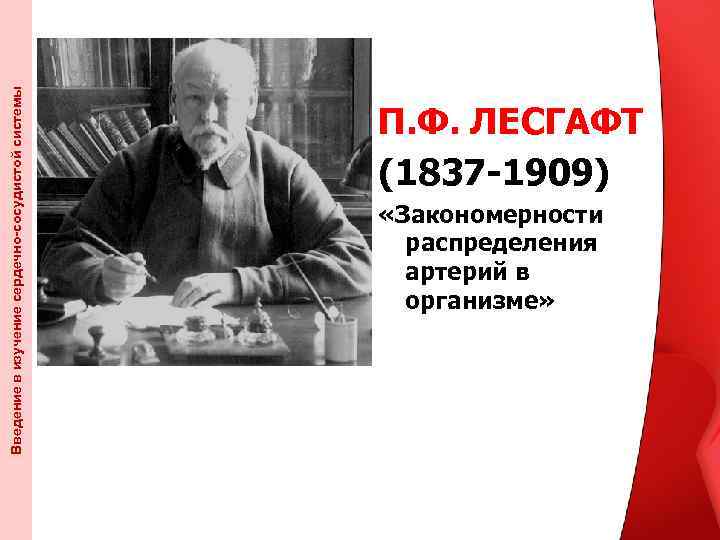 Введение в изучение сердечно-сосудистой системы П. Ф. ЛЕСГАФТ (1837 -1909) «Закономерности распределения артерий в